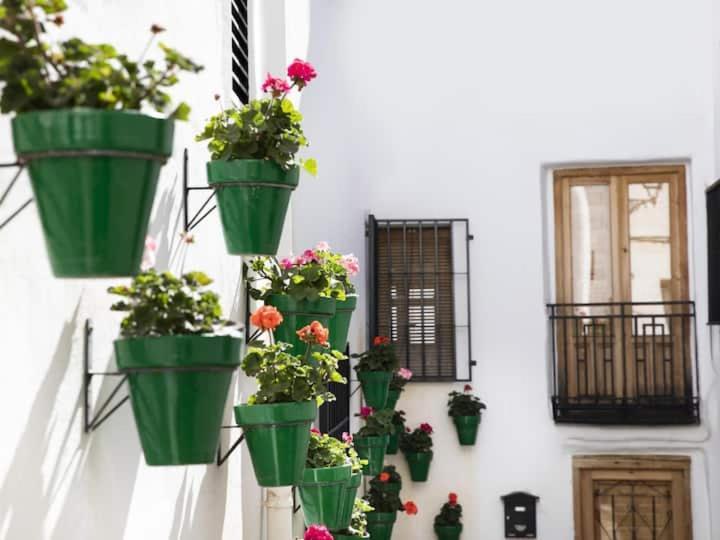 Apartamento En El Corazon De Las Alpujarras Carataunas 외부 사진